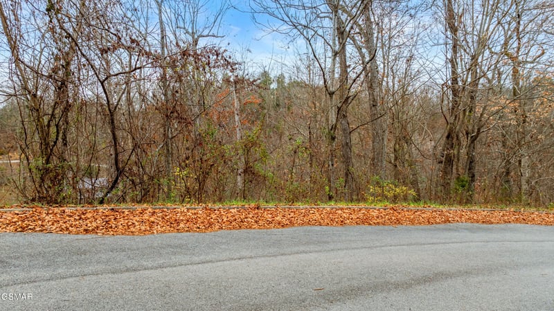 22 Penelope Ln Lot 22, Sevierville, TN 37876