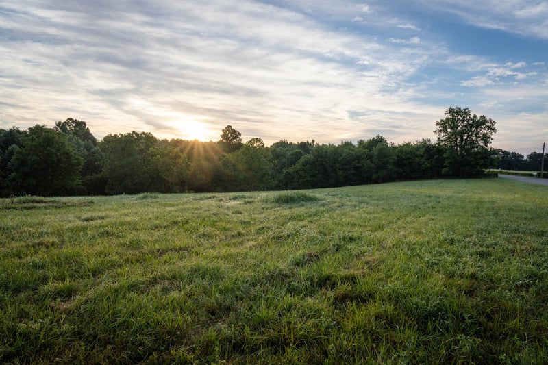 7810 W Lick Creek Rd, Primm Springs, TN 38476