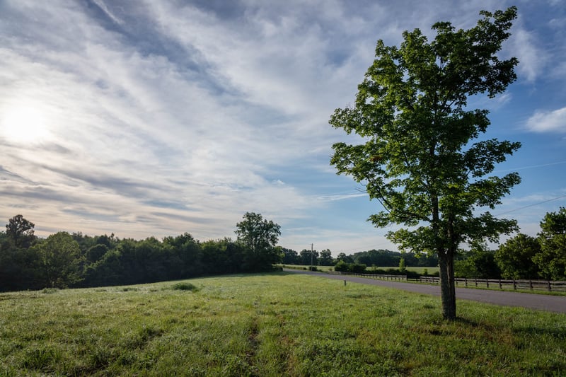 7810 W Lick Creek Rd, Primm Springs, TN 38476