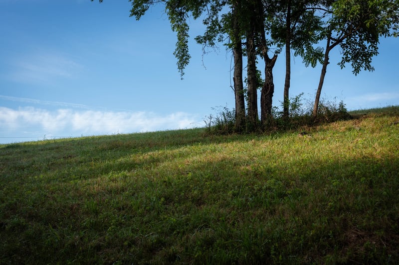 7810 W Lick Creek Rd, Primm Springs, TN 38476