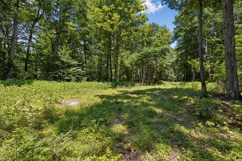 9346 Christiana Fosterville Rd, Christiana, TN 37037