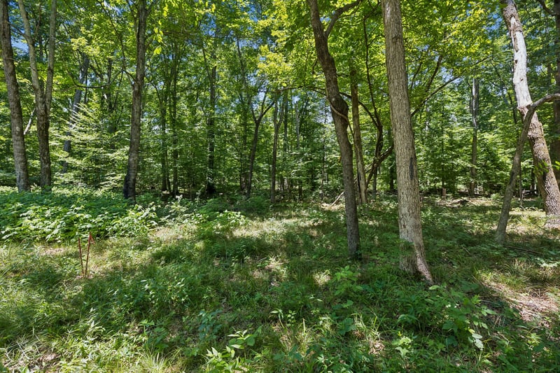 9346 Christiana Fosterville Rd, Christiana, TN 37037