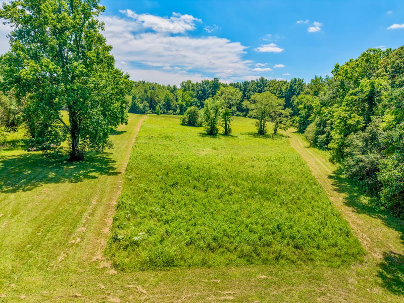 1251 Highway 96 N, Fairview, TN 37062