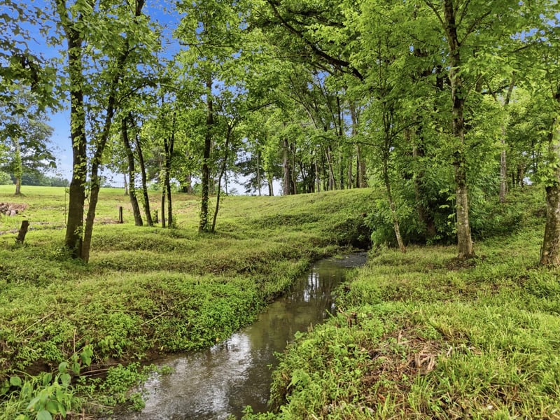 1 Classic Trl Lot 1, Ringgold, GA 30736