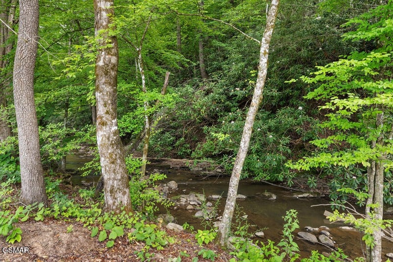 2215 Sawmill Cv Dr, Sevierville, TN 37862