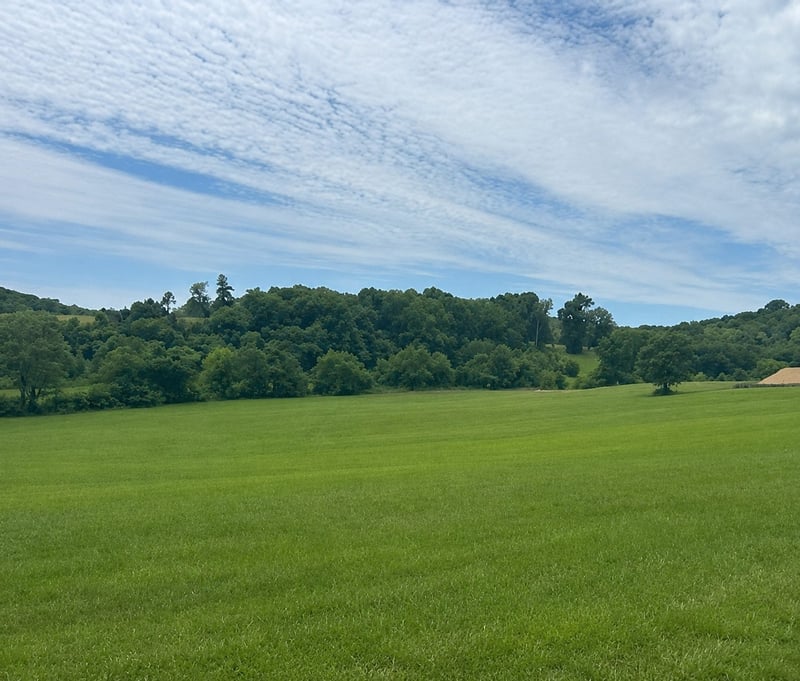 0 Johnny Bennett Rd Lot 5, Thompsons Station, TN 37179