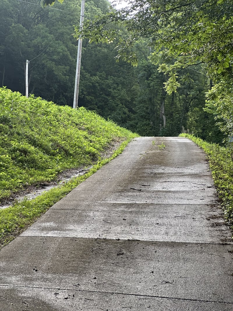 45 Friendship Hollow Rd N, Pleasant Shade, TN 37145