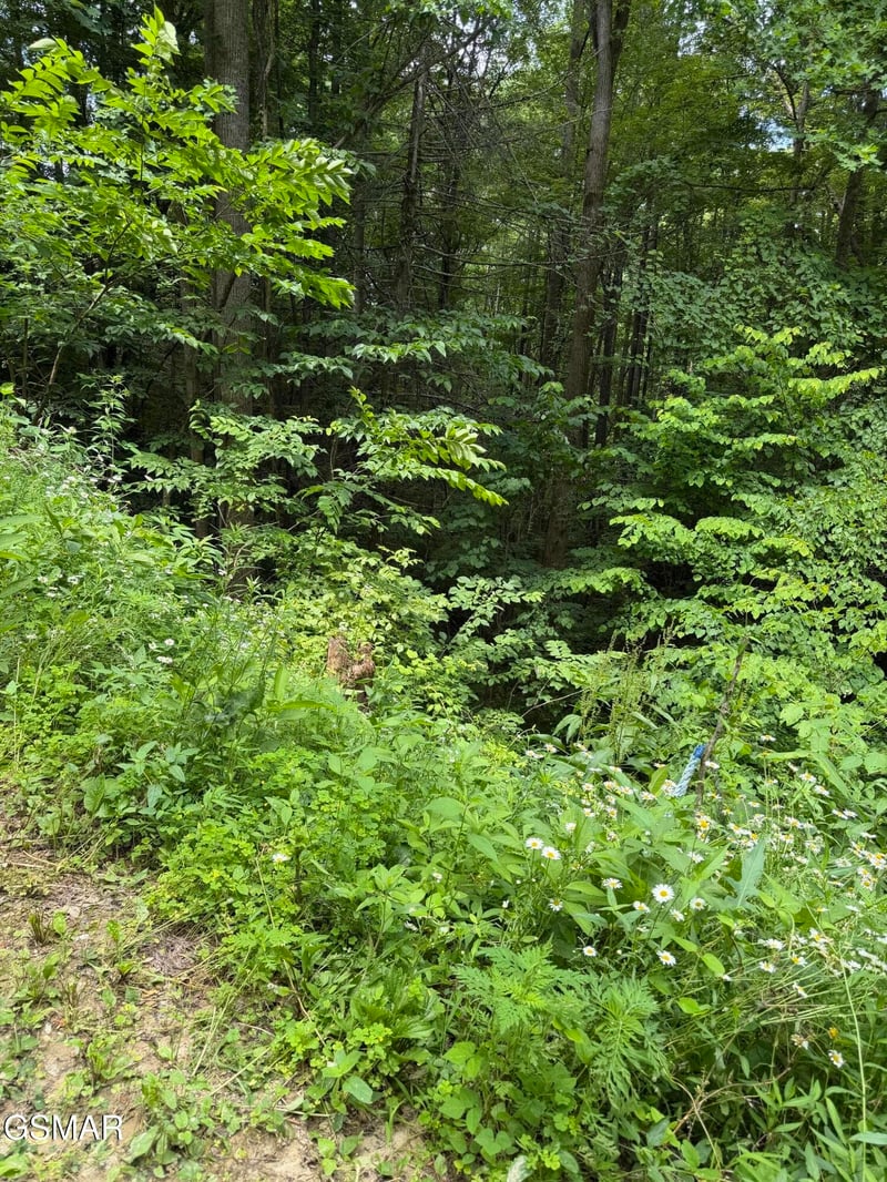 56 Butternut Ln Lot 56, Sevierville, TN 37876
