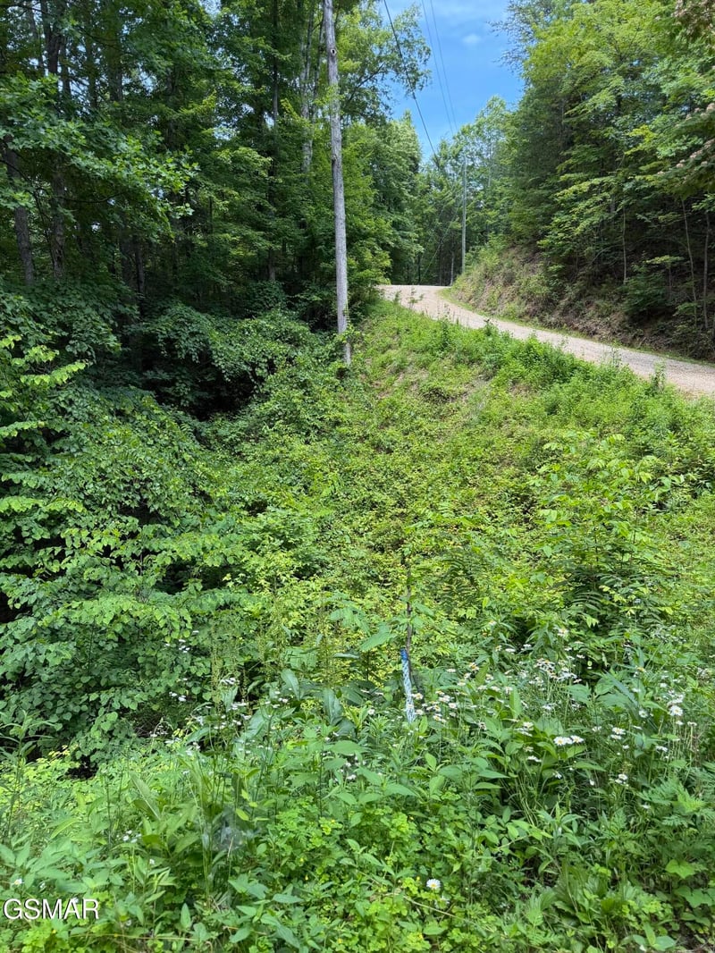 56 Butternut Ln Lot 56, Sevierville, TN 37876