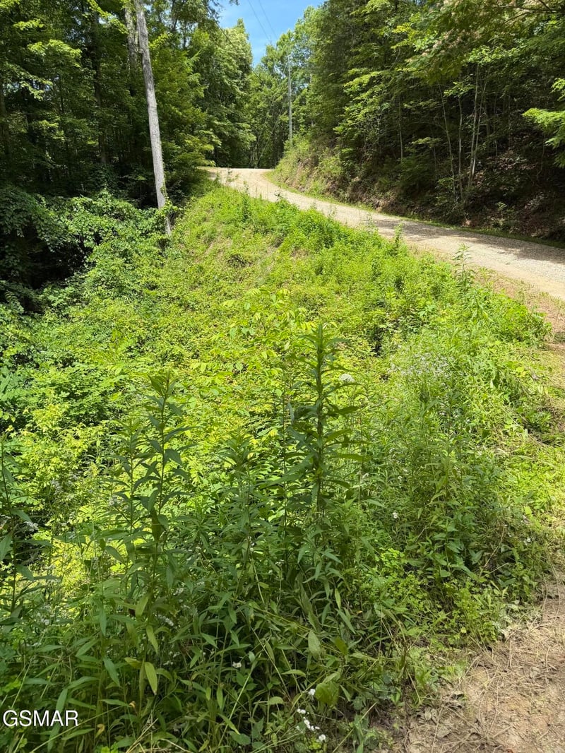 56 Butternut Ln Lot 56, Sevierville, TN 37876