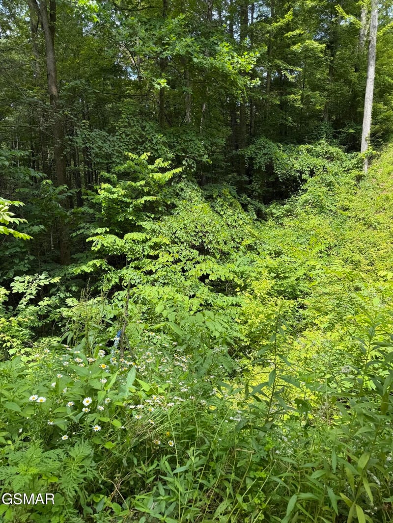 56 Butternut Ln Lot 56, Sevierville, TN 37876