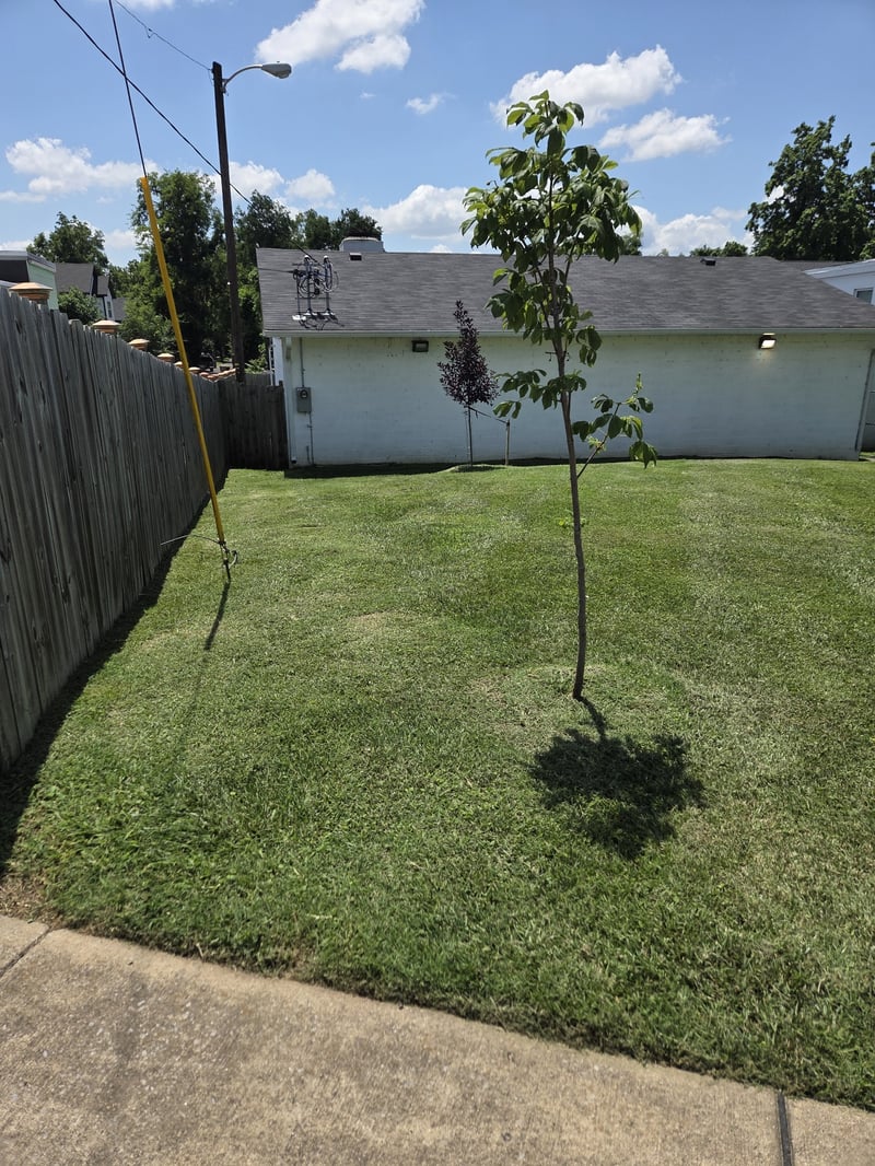 1503 Buchanan St, Nashville, TN 37208