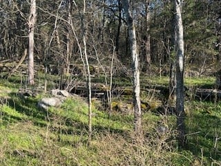 14907 Cainsville Rd, Lebanon, TN 37090
