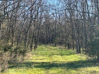 14907 Cainsville Rd, Lebanon, TN 37090