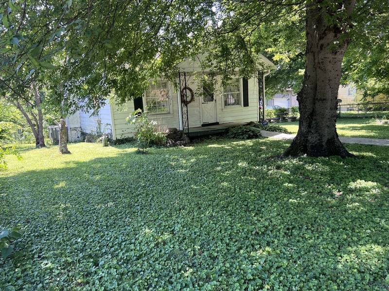 2306 Alpine Ave, Nashville, TN 37218