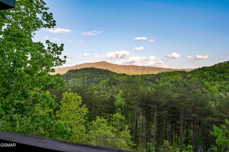 2633 Raccoon Hollow Way, Sevierville, TN 37862