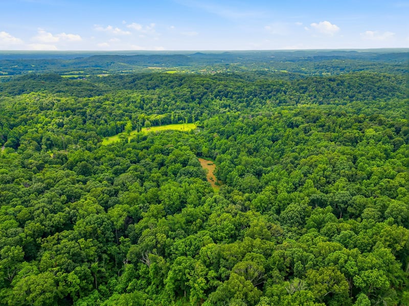 189 Bud Pvt Ln Lot 11, Cottontown, TN 37048