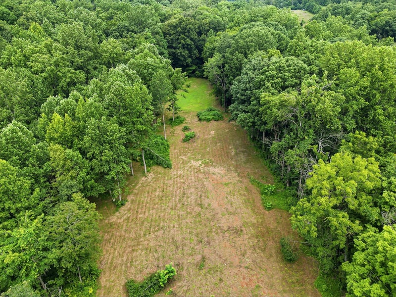 189 Bud Pvt Ln Lot 11, Cottontown, TN 37048