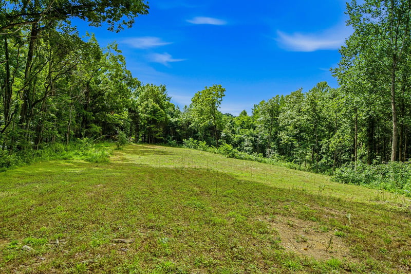 189 Bud Pvt Ln Lot 11, Cottontown, TN 37048