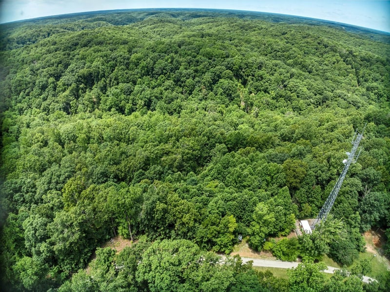 5514 Barking Dog Ln, Franklin, TN 37064