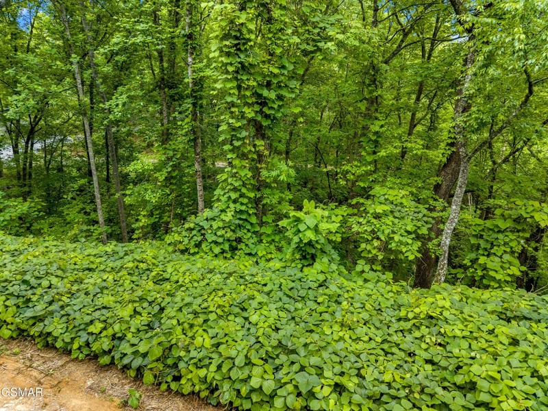 9 Red Bone Way Lot 9AE, Sevierville, TN 37876