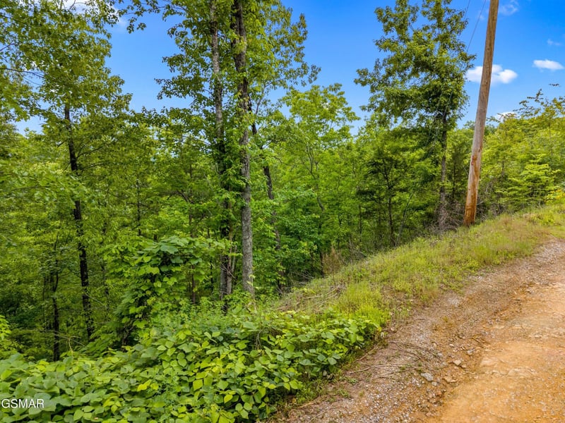 9 Red Bone Way Lot 9AE, Sevierville, TN 37876