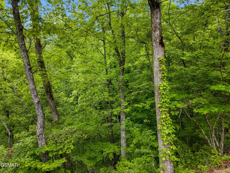 11 Red Bone Way Lot 11AE, Sevierville, TN 37876