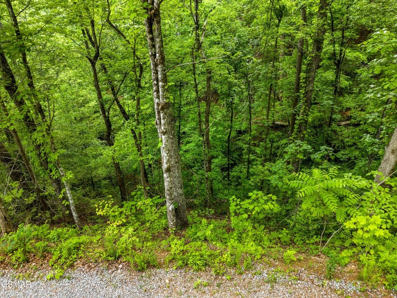 11 Red Bone Way Lot 11AE, Sevierville, TN 37876