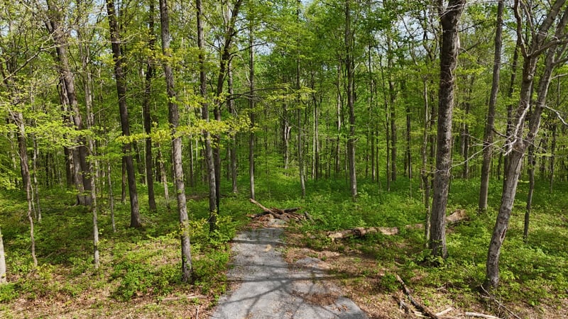 2 Greenbrier Rd Lot 2 & 3, Franklin, TN 37064
