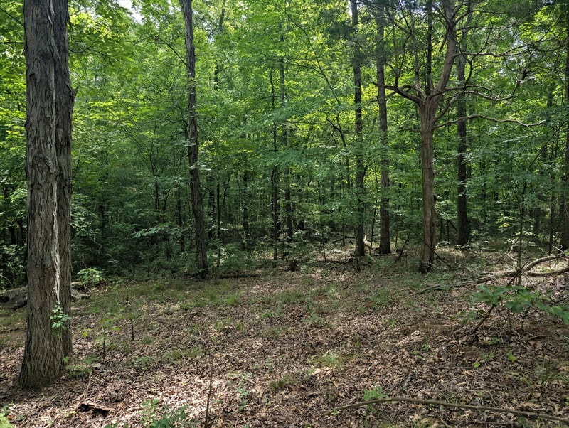 297 Rock Springs Midland Rd, Christiana, TN 37037