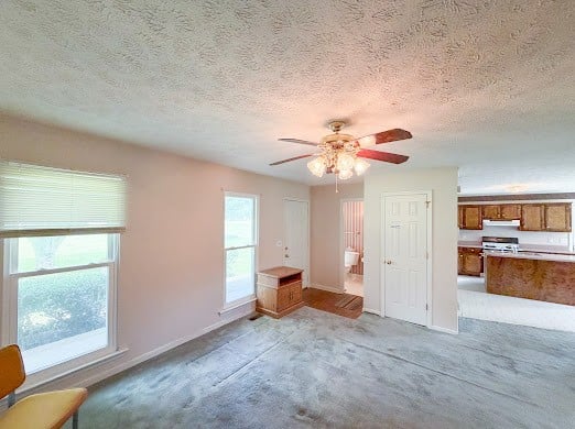 2019 Almaville Rd N, Smyrna, TN 37167
