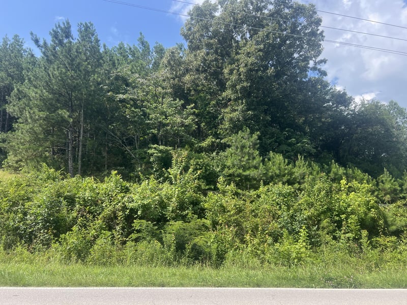 6999 Three Notch Rd Lot 5, Ringgold, GA 30736