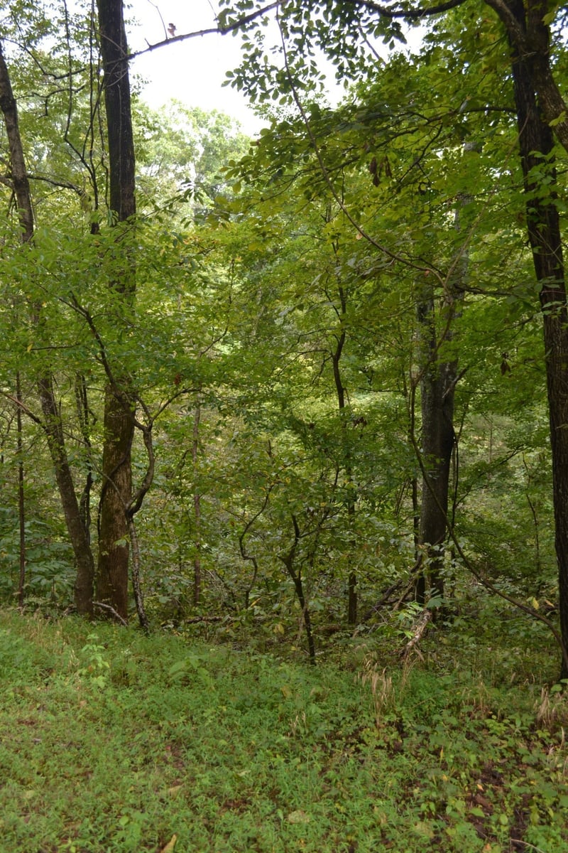 0 Pond Dr, Gallatin, TN 37066
