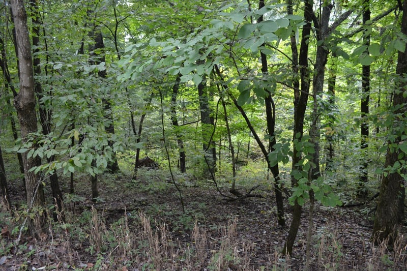 0 Pond Dr, Gallatin, TN 37066