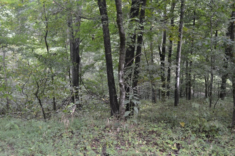 0 Pond Dr, Gallatin, TN 37066