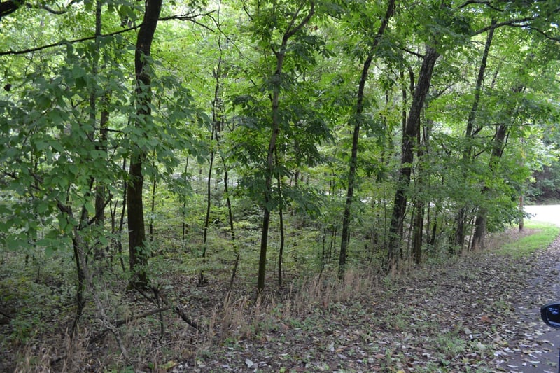 0 Pond Dr, Gallatin, TN 37066