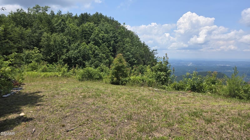 0 Top Rd Lot 35, Sevierville, TN 37876