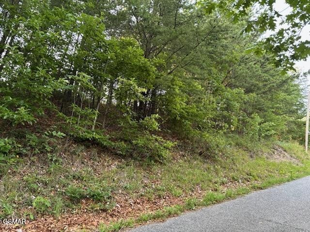 0 Top Rd Lot 35, Sevierville, TN 37876