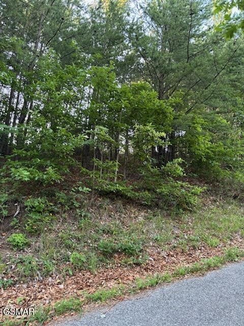 0 Top Rd Lot 35, Sevierville, TN 37876
