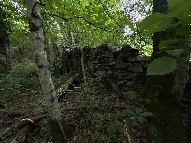 17 Hackett Valley Rd, Hickman, TN 38567