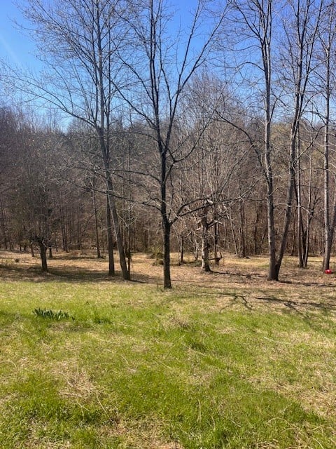 1021 Pumpkin Ave, Charlotte, TN 37036