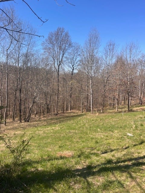 1021 Pumpkin Ave, Charlotte, TN 37036