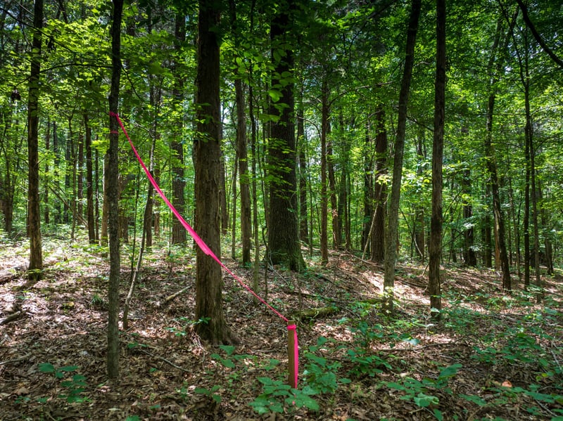 0 Highway 70 N, Dickson, TN 37055