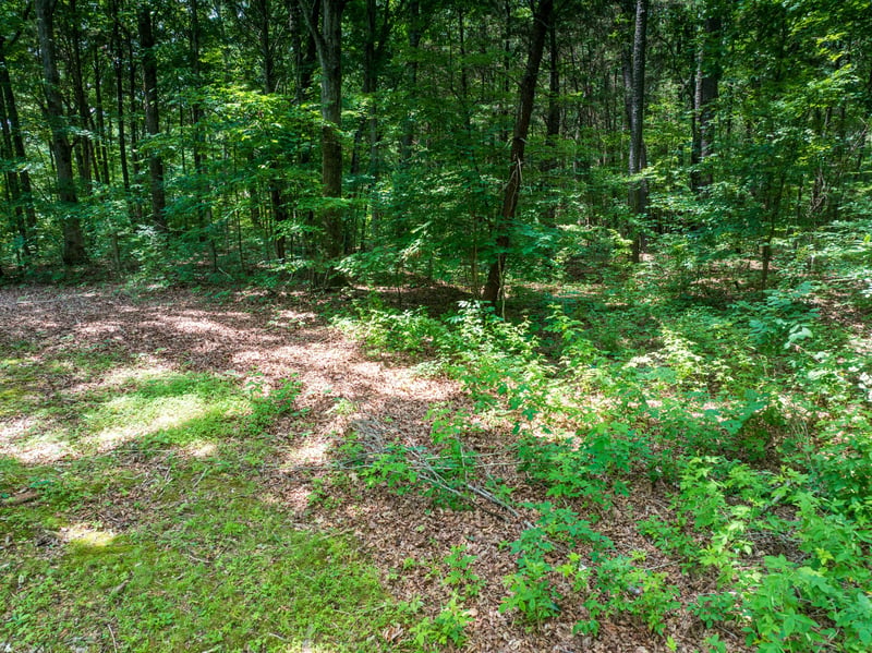 0 Highway 70 N, Dickson, TN 37055