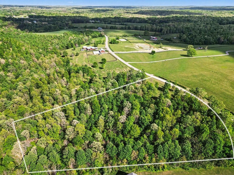 7850 W Lick Creek Rd, Primm Springs, TN 38476
