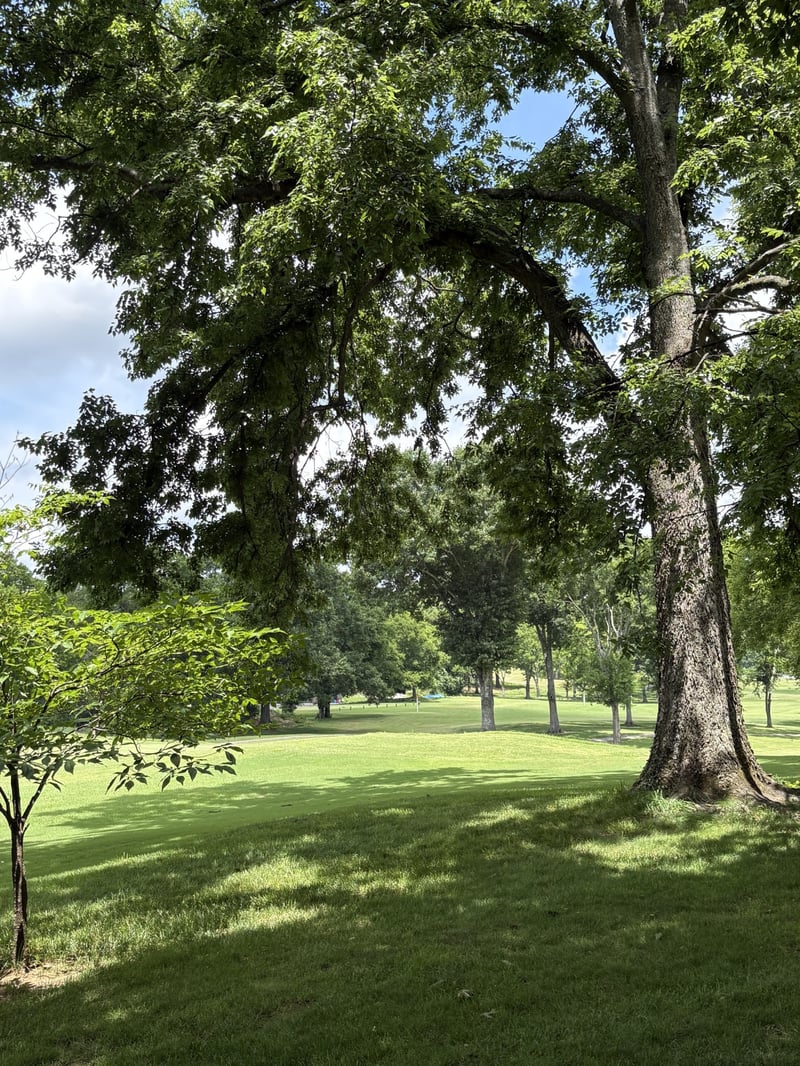 6527 Stableford Ln, Franklin, TN 37069
