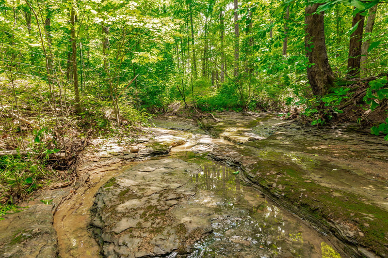 0 New Hall Rd Lot 5, Greenbrier, TN 37073
