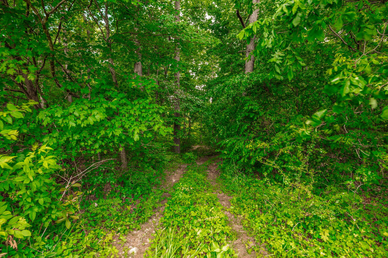 0 New Hall Rd Lot 5, Greenbrier, TN 37073