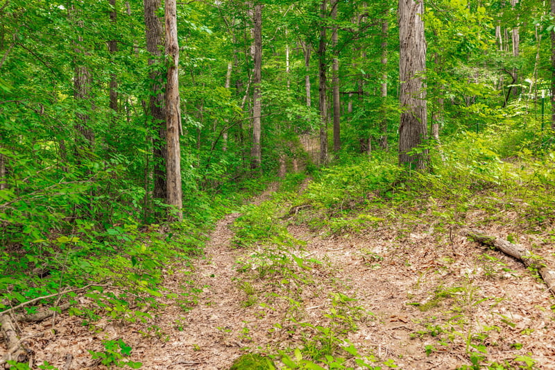 0 New Hall Rd Lot 5, Greenbrier, TN 37073
