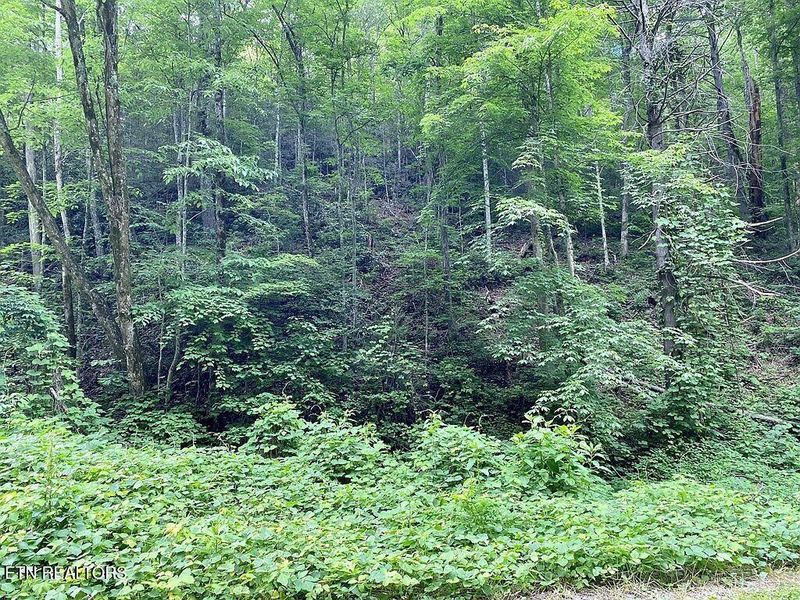 0 Black Walnut Flats Rd Lot 1, Sevierville, TN 37862